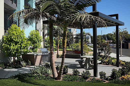 A palm tree stands in a landscaped yard.