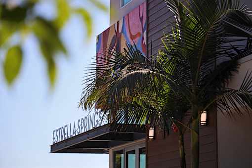 A palm tree is in front of a building with the name Estrella Springs on it.