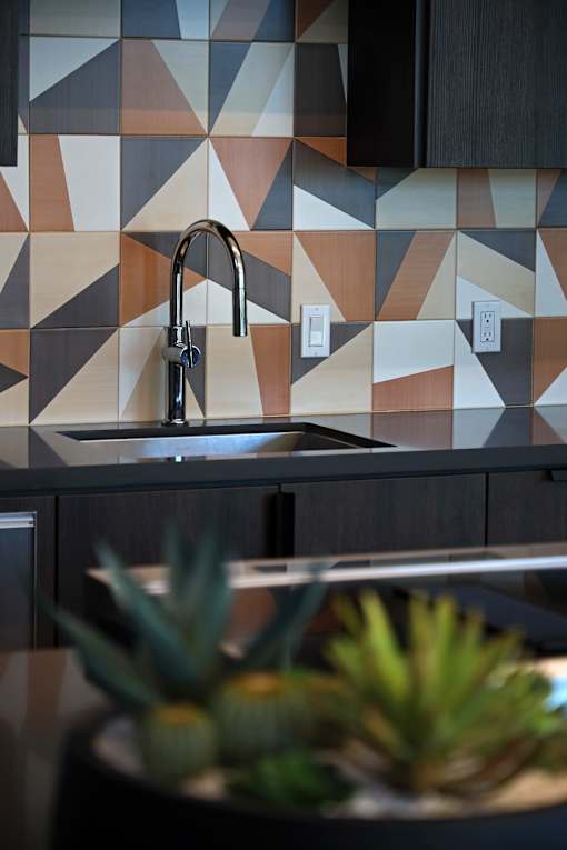 A kitchen with a sink and a plant.