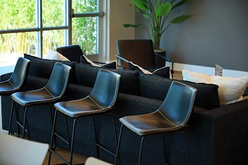A row of black chairs are lined up in front of a window.
