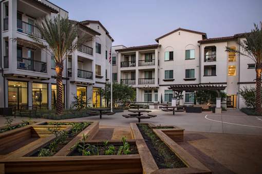 A courtyard with a fountain and palm trees in front of apartment buildings.