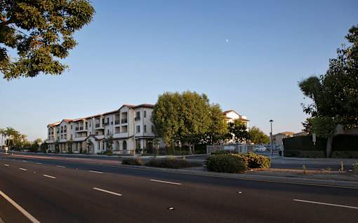 A large white building with a green tree in front of it.