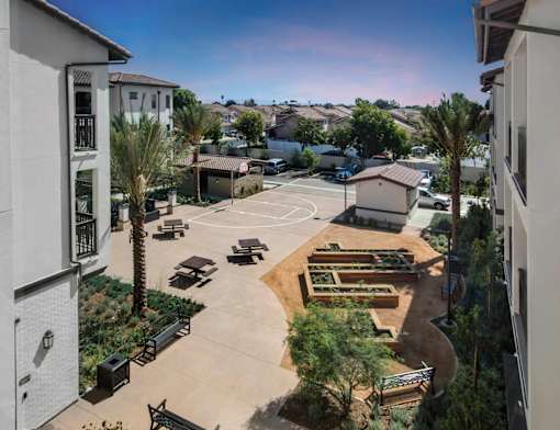 A courtyard surrounded by buildings with a basketball court and a tree.