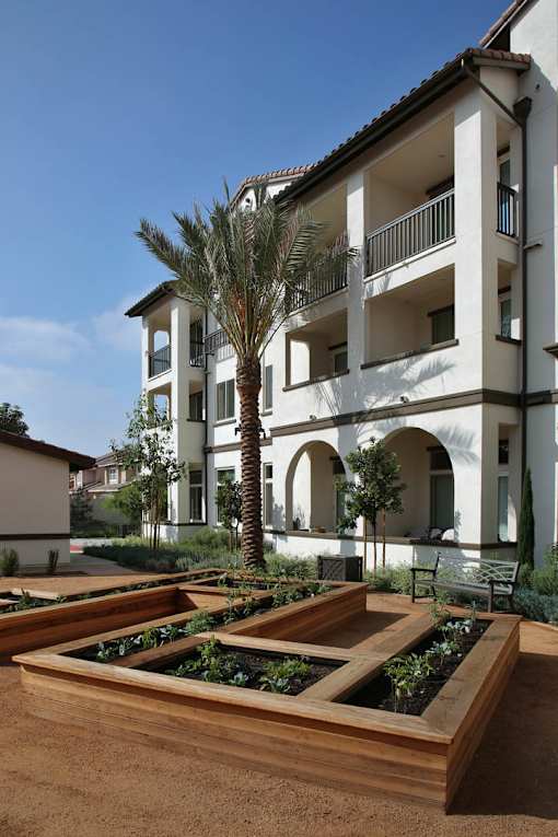 A white building with a balcony and a palm tree in front.
