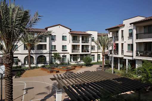 A sunny day at the apartment complex with palm trees and a basketball court.