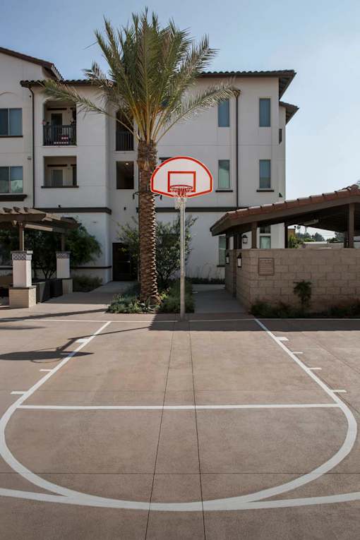 A basketball court with a hoop in the middle of it.