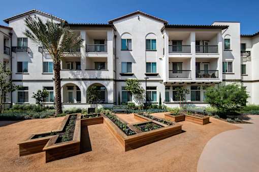 A large white building with a balcony on the second floor and a palm tree in front.