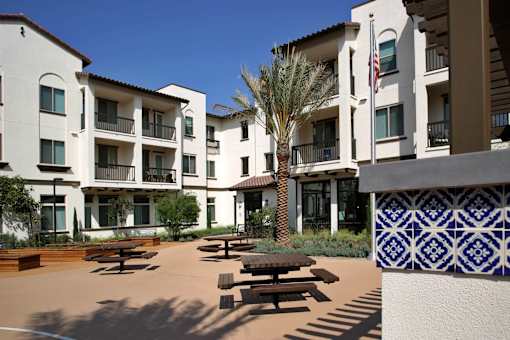 A courtyard with a palm tree and benches in front of a white building.