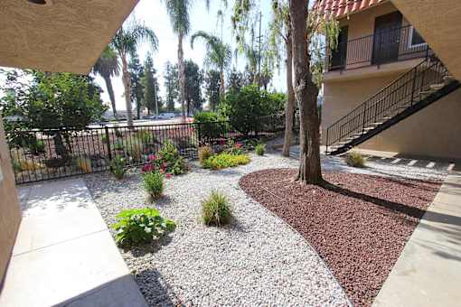 Open Courtyard Area at Loma Linda Prospect Apartments, Loma Linda