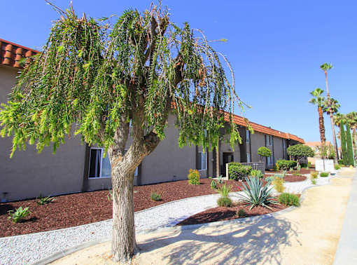 Property Outside View at Loma Linda Prospect Apartments, Loma Linda, CA, 92354