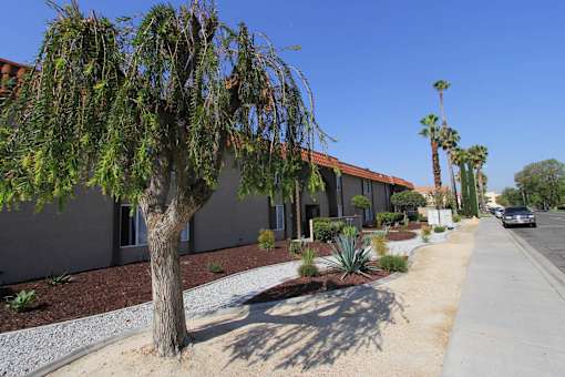 Property Exterior View at Loma Linda Prospect Apartments, Loma Linda, California