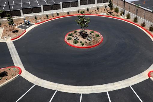 A roundabout with a tree in the center and a red ring around it.