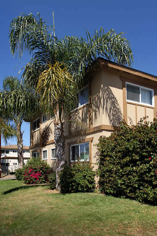 A house with a palm tree in front of it.