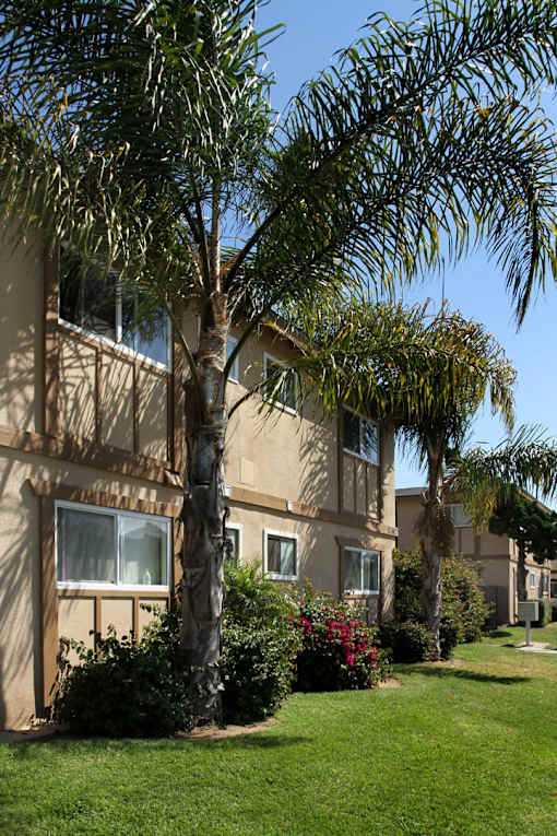 A row of houses with trees in front.