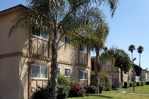 Apartment complex with palm trees in front.