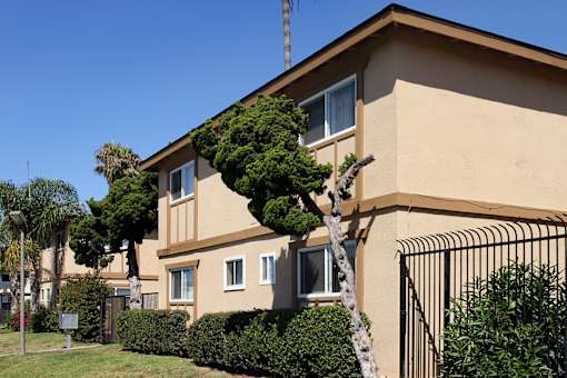 A beige house with a tree growing out of it.