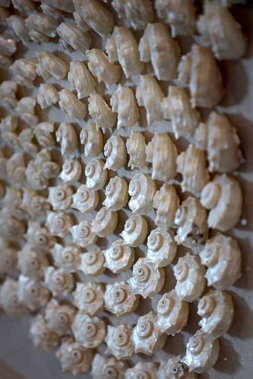 A wall of white seashells is displayed.