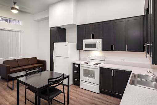 A modern kitchen with black cabinets and a white fridge.