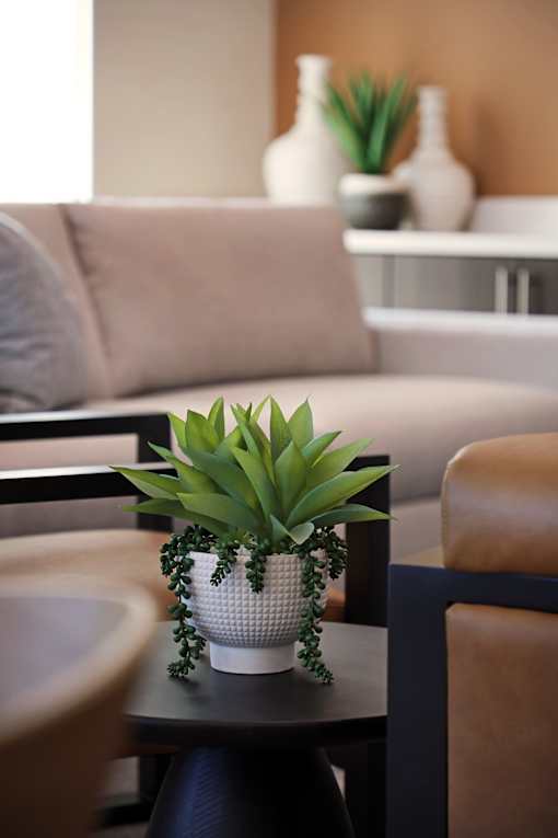 A potted plant sits on a table in front of a couch.