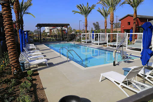 A pool surrounded by palm trees and lounge chairs.