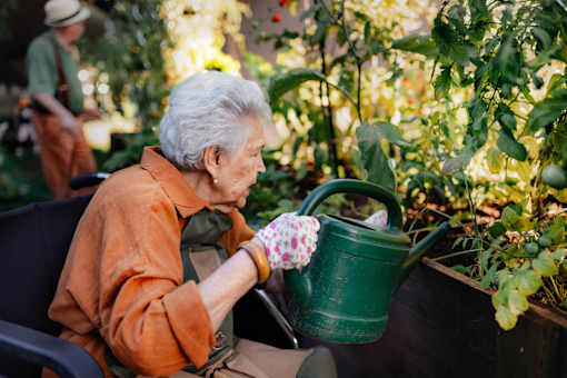 An elderly woman is watering plants in a garden.