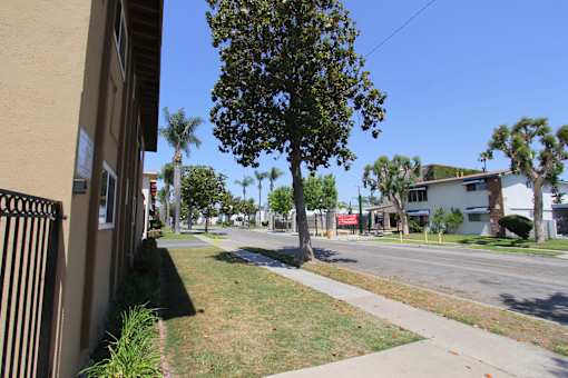 A tree in a grassy area in front of a building.