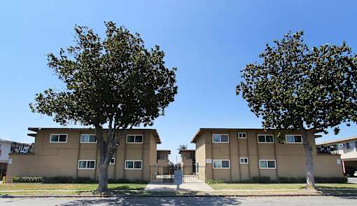Two trees in front of a tan apartment building.