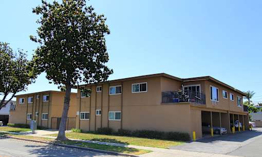 A tree is in front of a tan building.
