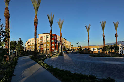 A row of palm trees line a walkway in front of a building.