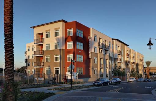 A modern apartment building with a palm tree in front.