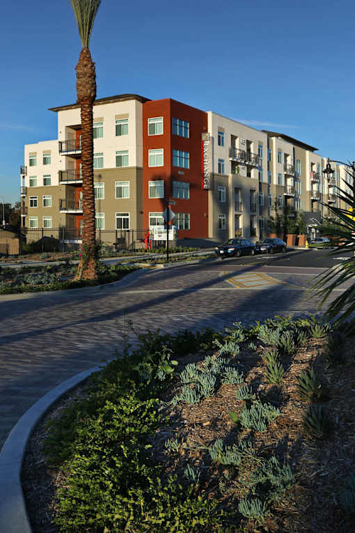 A palm tree stands in front of a multi-story apartment building.