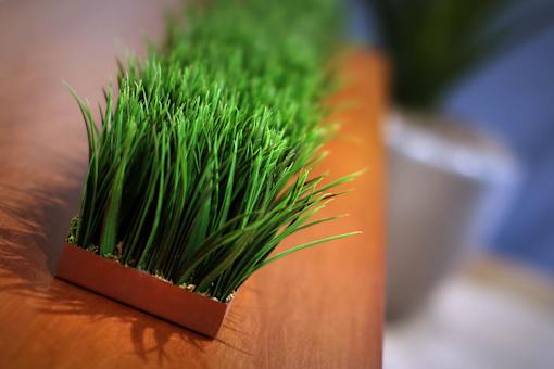 A box of green grass on a wooden surface.