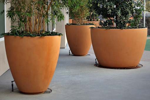Three large orange pots with plants in them.