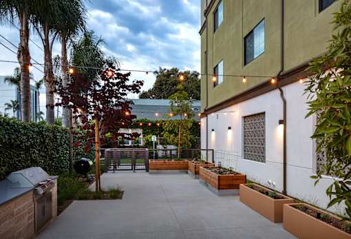 A patio area with a table and chairs surrounded by trees and plants.