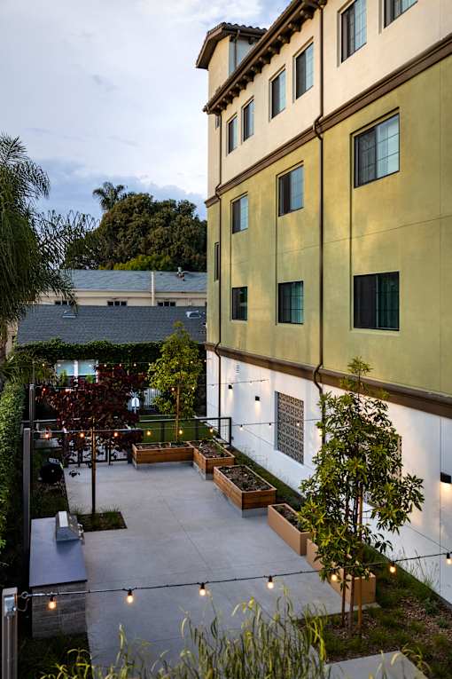 A courtyard with a tree and benches is surrounded by buildings.