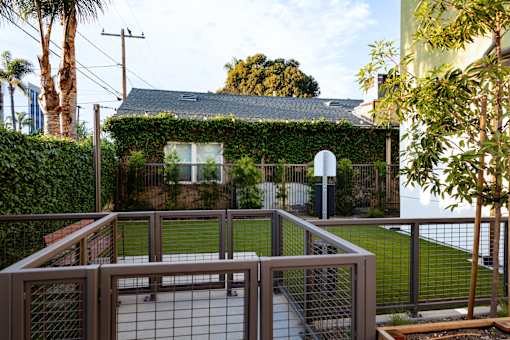 A house with a green hedge on the roof and a metal fence in front.