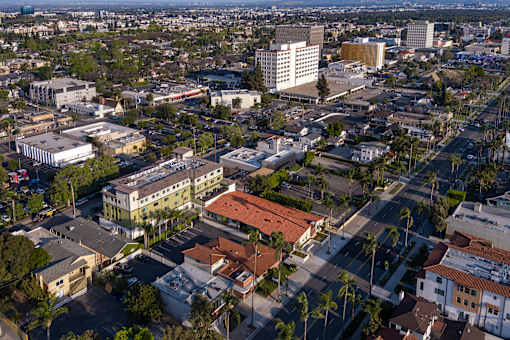 A cityscape with buildings and palm trees.