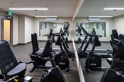 A gym with treadmills and exercise bikes.