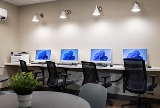 A room with four computers and a potted plant on a table.
