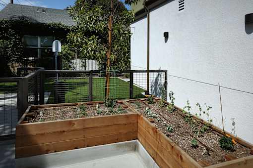 A small garden with a wooden fence and a tree.
