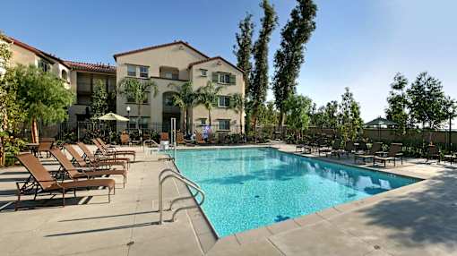 A swimming pool surrounded by sun loungers and trees.