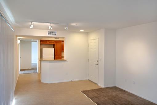 A white room with a brown rug on the floor.