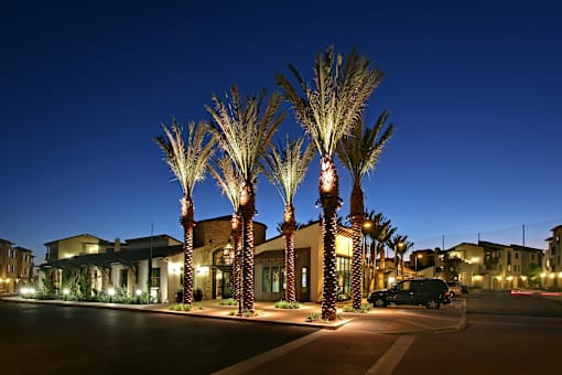 A row of palm trees line a street at night.