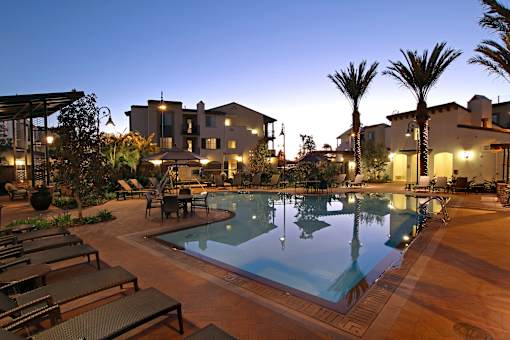 A pool surrounded by palm trees and lounge chairs.