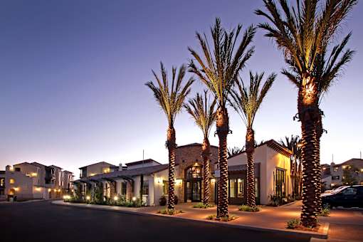 Palm trees line the street in front of a building.