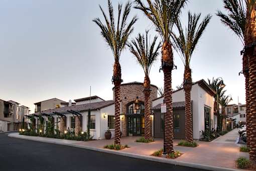 Palm trees line a street in front of a row of houses.