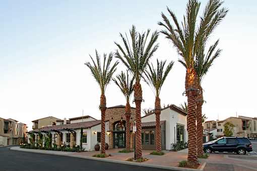 Palm trees in front of a building.
