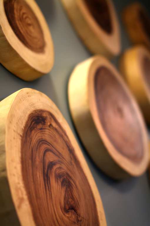 A collection of wooden bowls with varying shades of brown and gold.