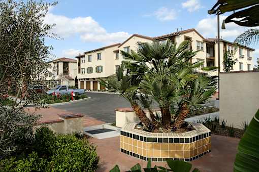 A large building with a palm tree in front of it.