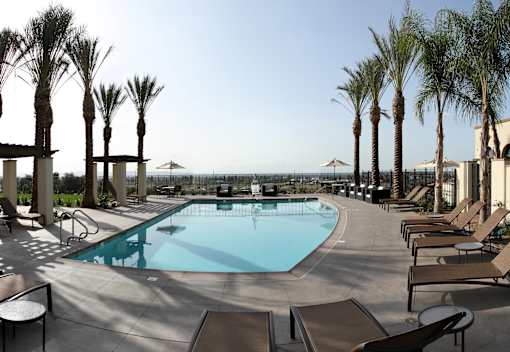 A large swimming pool surrounded by palm trees and lounge chairs.